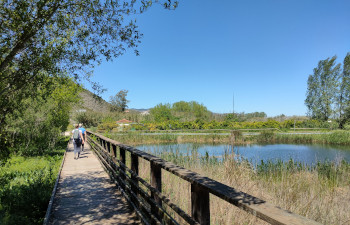 Parque Natural de la Marjal de Gandía